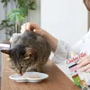 INABA Ciao Grilled Chicken Fillet in chicken flavored broth - cat treats - 25g