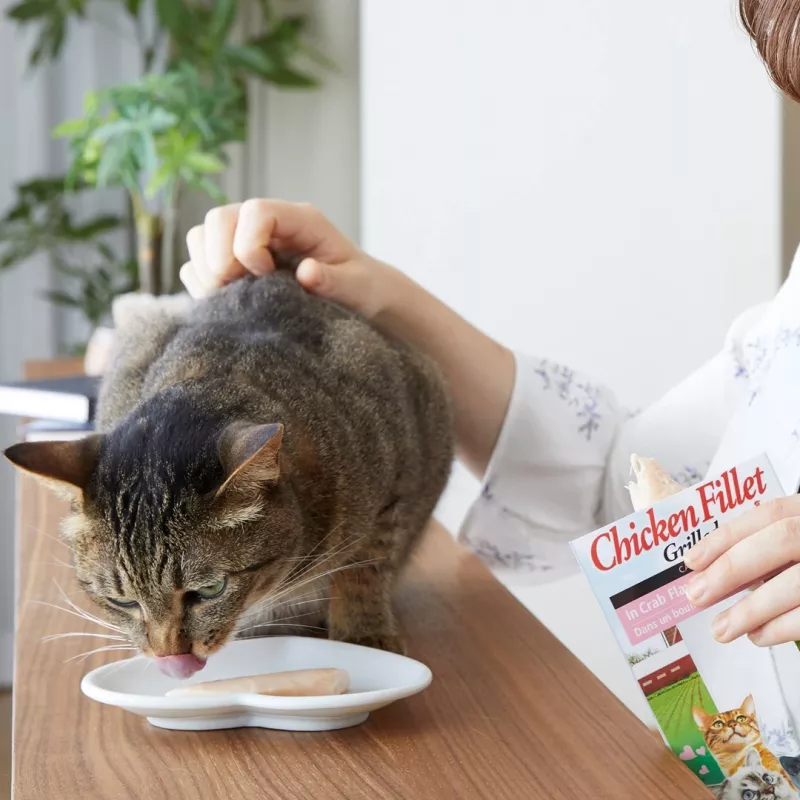 INABA Ciao Grilled Chicken Fillet in chicken flavored broth - cat treats - 25g