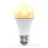 Smart bulb WOOX R9077