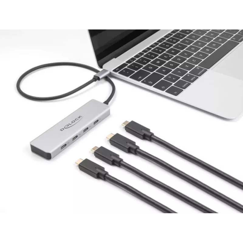DeLOCK USB Type-C Hub 10 Gbps 4 Ports Aluminium Grey