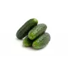 Wisconsin Cucumber SMR 58 Toraf Vegetable Seeds, 5g Pack