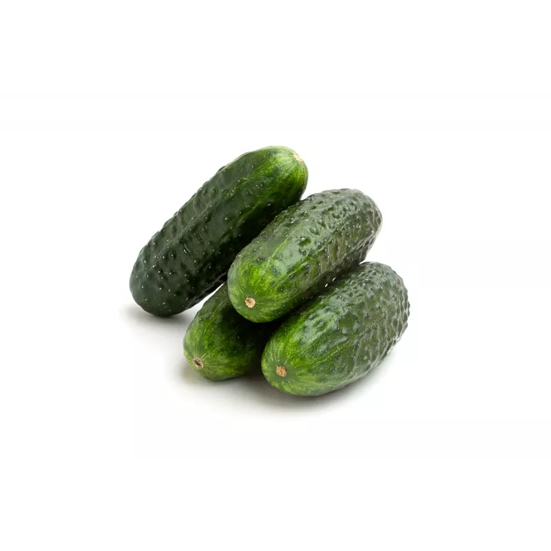 Wisconsin Cucumber SMR 58 Toraf Vegetable Seeds, 5g Pack