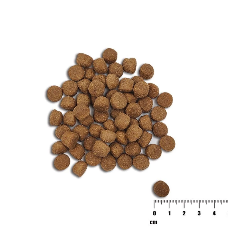 Dry dog food VETEXPERT Raw Paleo Healthy Grain Puppy Salmon and Barley 10 kg, protein 29% fat 17% moisture 9%