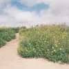 35mm Color Negative Film GT Photo GT24FILM ISO 200, 24 exposures