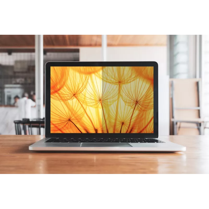 3M BPNMS003 display privacy filter 36.6 cm (14.4 inch) Laptop Frameless display privacy filter