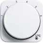 Busch-Jaeger 1794 R-214 Cover Plate for Sensor Holder & -Socket White (2CKA001710A4191)