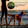 LED Collar KABB Blue for Dogs and Cats — rechargeable, adjustable light-up safety collar