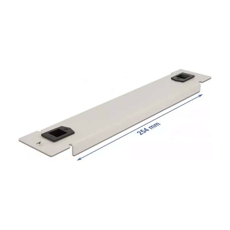 Blind panel DeLOCK 10 inch Network Cabinet 66629