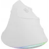 NATEC Crake 2 Pro mouse Universal Right-hand USB Type-A Optical 12800 DPI