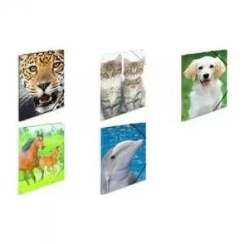 Folder Polypropylene (PP) HERMA 7139 A4 Multicolour