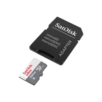 Flash memory SanDisk 256 GB MicroSDXC UHS-I SDSQUNR-256G-GN6TA