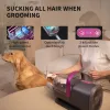 PETKIT DT5-EU Vacuum cleaner and hair clipper for cats and dogs, black/purple