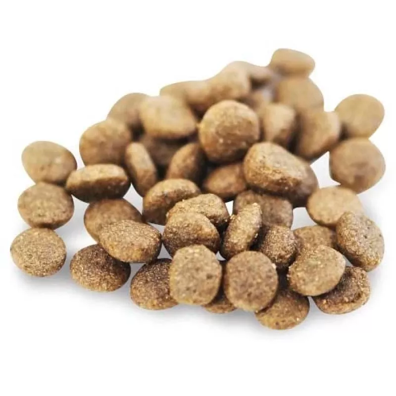 Fish4Dogs Superior Senior S Salmon Dry Dog Food, Small Breeds, 1.5 kg