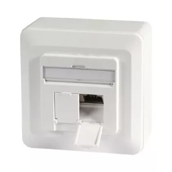 EFB-Elektronik Data Socket Cat.6A 500MHz oben/Downward, Surface-Mount, 2xRJ45, RAL9010 Manufacturer: EFB Elektronik (ET-25133AV5-R)