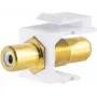 Keystone Module ShiverPeaks 08-10065 Flat Gold White RCA