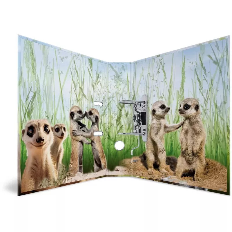 Ring binder HERMA 20048 A4 Multicolour D-ring Cardboard