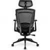 Office Chair Sharkoon OfficePal C20 Padded seat Meshed backrest Black