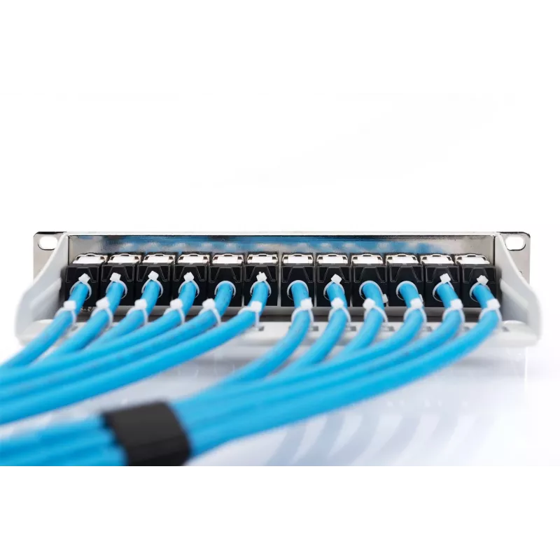 Networking Cable Digitus DK-1624-A-VH-1 RJ45 Cat6a 100m Blue