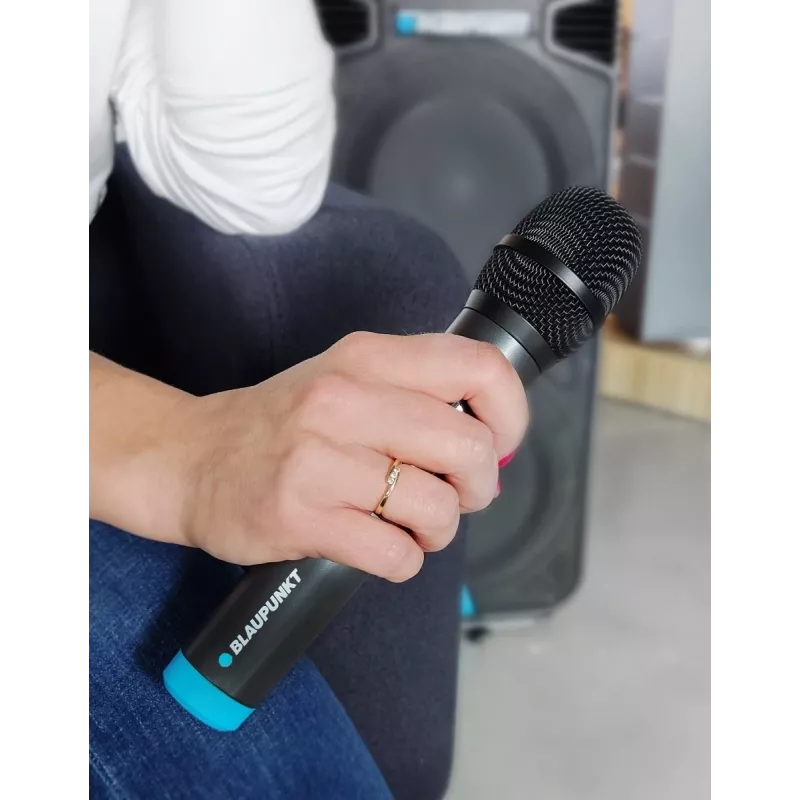 Microphone Blaupunkt WM60UDB