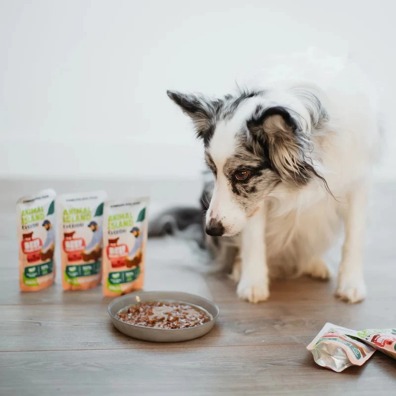 ANIMAL ISLAND beef fillets in broth for dogs 10x150g
