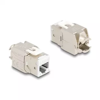 DeLOCK 88119 keystone module Flat White RJ-45 10 pcs