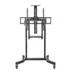 GEMBIRD Motorized height adjustable TV floor stand with caster wheels 55-100inch