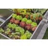 Pipe end plug Gardena 13215-20 suitable for drip irrigation system