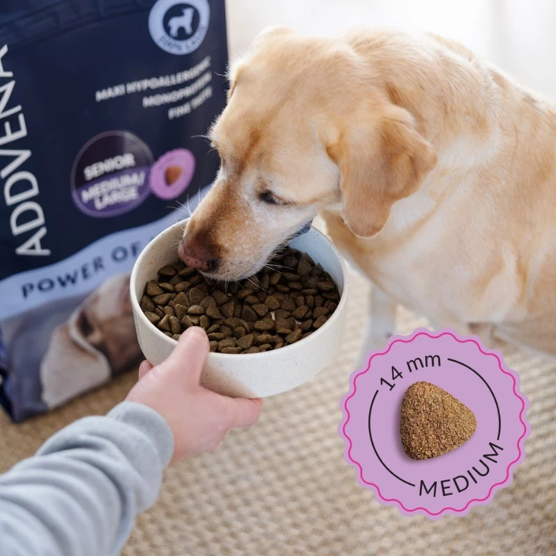 ADDVENA Power of Nature Senior Medium/Large Lamb - dry dog food - 10kg
