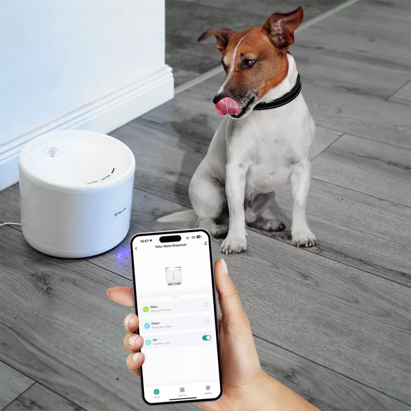 Pet water dispenser Tellur TLL331471 2L White — 2-litre automatic water bowl for cats and small dogs