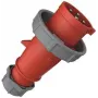 Plug AM-Top 32A4p 3h400-440V IP67 (2175B)