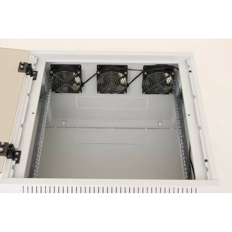 Wall mounted rack Triton RUA-12-AS6-CAX-A1 12U White