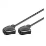Wentronic Goobay Scart-Connection Cable, Black, 2 m - SCART-Plug (21-Pin) > SCART-Plug (21-Pin) (11703)