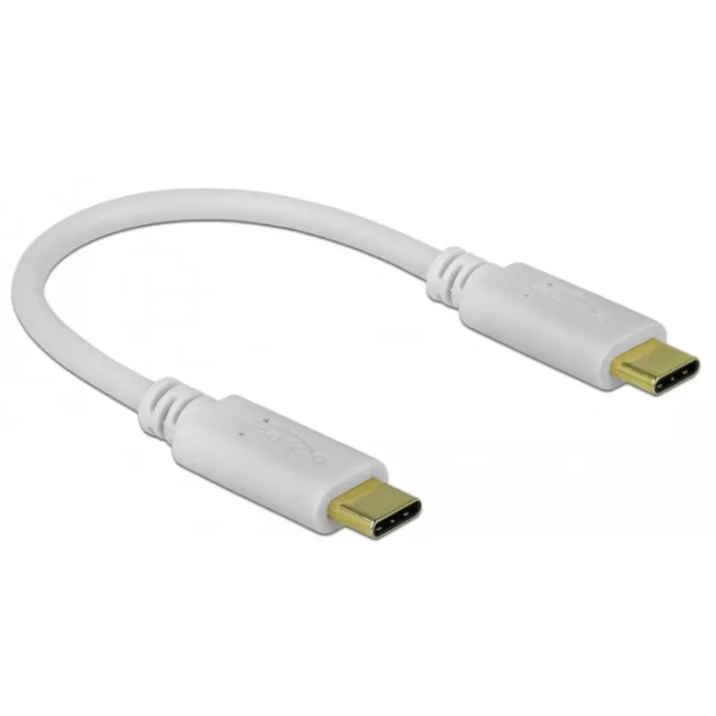 Delock - USB-C / power cable - 24 pin USB-C (M) to 24 pin USB-C (M) - 5 A - 15cm - USB-Power Supply (100 W), Supports Power Delivery 2,0 - White (85357)