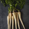 Seeds – Parsnip (Pietruszka Korzeniowa Alba) 3 g pack by Seklos LT