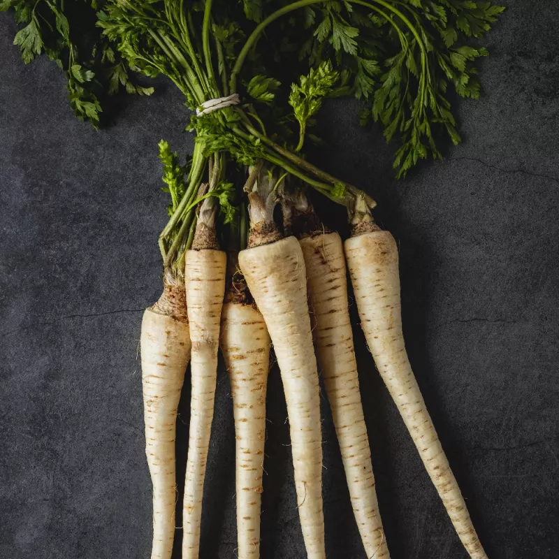 Seeds – Parsnip (Pietruszka Korzeniowa Alba) 3 g pack by Seklos LT