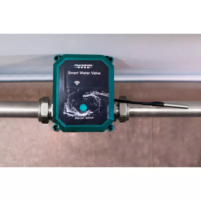 Smart water valve Shelly PbS FrankEver DN25 WLAN Bluetooth for remote control and automation