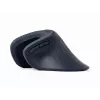 Gembird MUSW-ERGO-03 mouse Home Right-hand RF Wireless Optical 1600 DPI