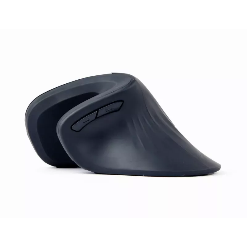 Gembird MUSW-ERGO-03 mouse Home Right-hand RF Wireless Optical 1600 DPI
