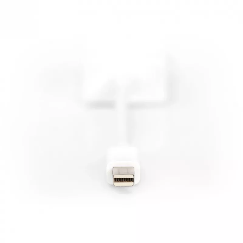 DisplayPort Adapter Cable Digitus DB-340407-001-W