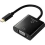 Renkforce RF-4679564 Video Cable-Adapter 0,1 m USB Type-C VGA (D-Sub) Black (RF-4679564)