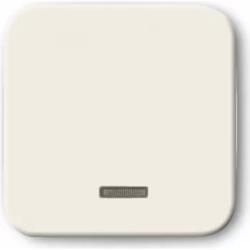 Busch-jaeger 2CKA006599A2815 Networking Device White