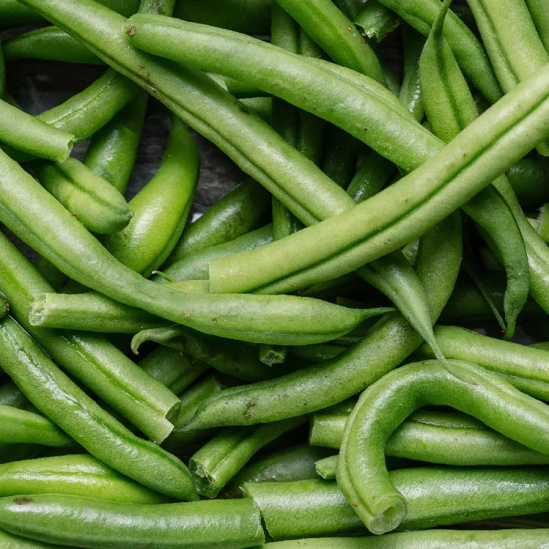 Nomad Green Dwarf Bean Seeds, 50g - Vegetable Seeds