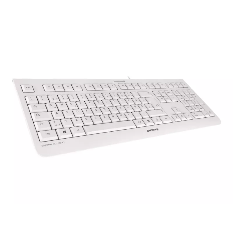 CHERRY KC 1000 keyboard Office USB QWERTZ German Grey