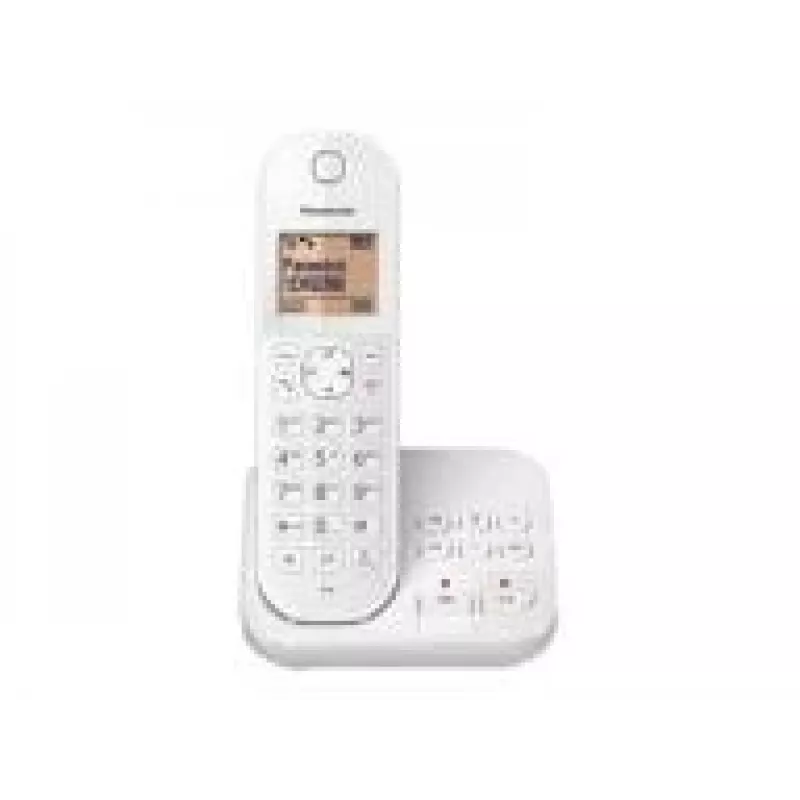 DECT telephone Panasonic KX-TGC420