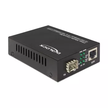 Network Media Converter DeLOCK 86110