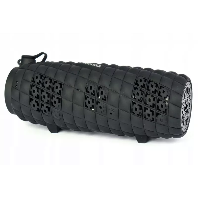 Portable Speaker Toshiba Sonic Blast 2 TY-WSP80 Black