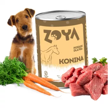 ZOYA Horse - wet dog food - 400g