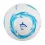 Soccer ball White Shark TB-001 Dribbler 32-panel Size 5