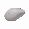Canyon Mouse MW-12 Dual band Wireless Beige - Mouse - 2.400 dpi (CNS-CMSW12BG)