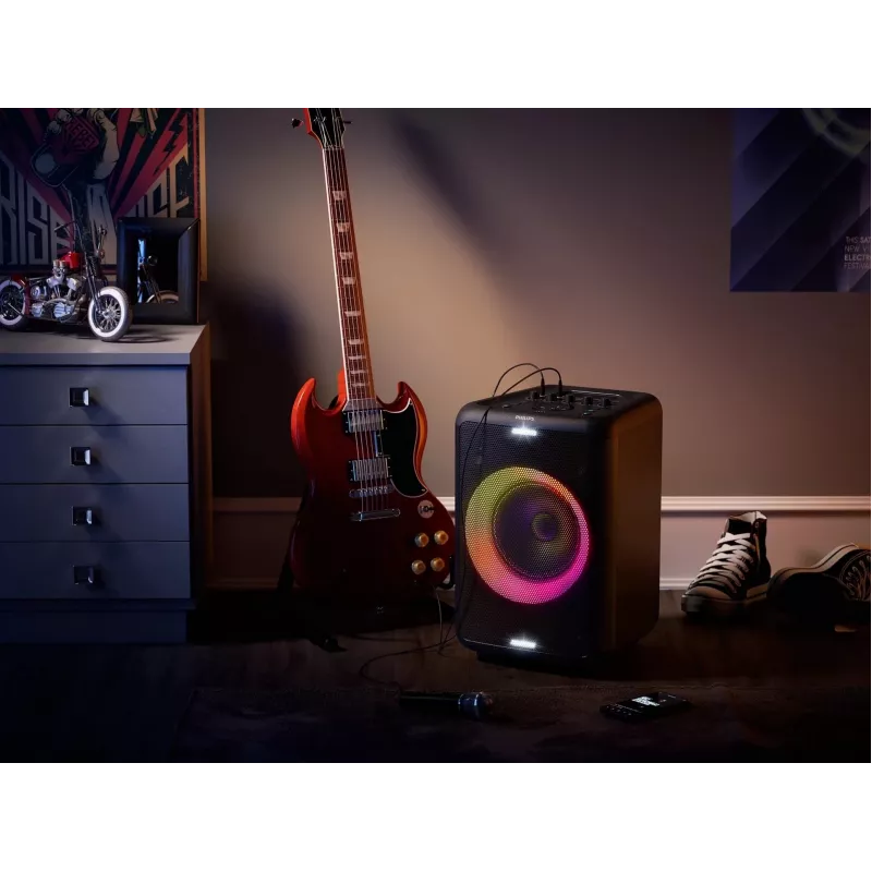 Speaker TAX3206/10, 10W